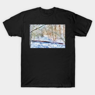 Forest in the Snow HDR T-Shirt